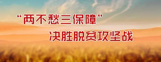 我身边的脱贫攻坚故事征文,我的扶贫故事及收获