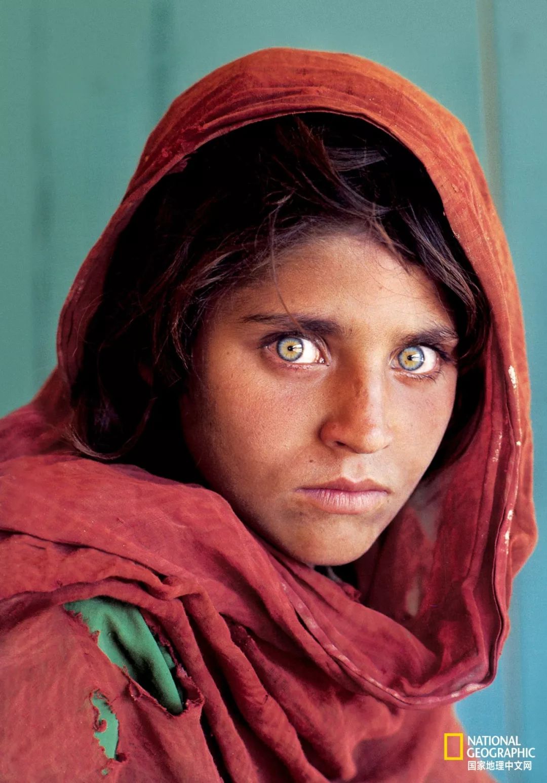 国家地理日历2024正版,2022年日历国家地理