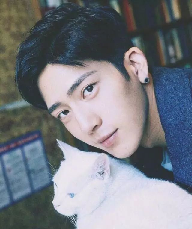 脸上有痣是不是代表有福,脸上长痣的前提是什么