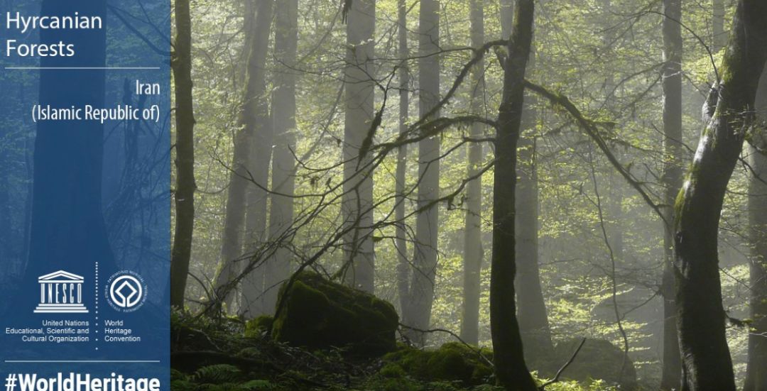 世界遗产大会正在进行时，哪些海外宝地被列入《世界遗产名录》？