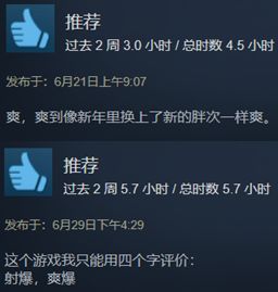 steam好评率最高的十款游戏,steam口碑最强的三款游戏