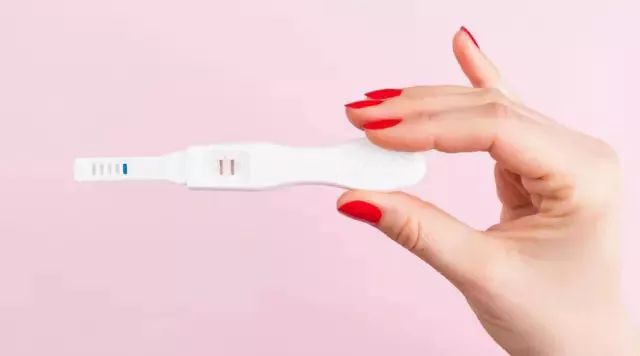 月经前乳房变化跟怀孕有什么区别,经产母猪怀孕多久乳房才能有变化