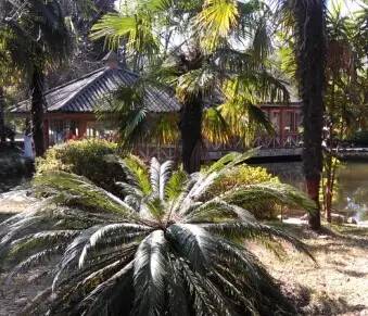 去西翥吧，换个闲情乡趣新玩场