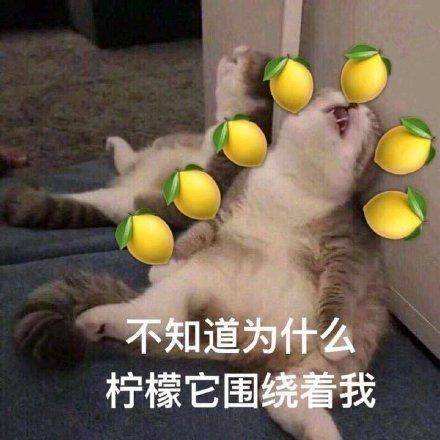 新闻“全欧了”：报酬低、条件差但这5方面女足比男足强