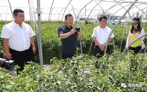 【壮丽70年·奋斗新时代】京九晚报整版：阅不完睢阳风景，说不尽精彩故事——商丘报业全媒体大型主题报道采访八分团睢阳区采访掠影