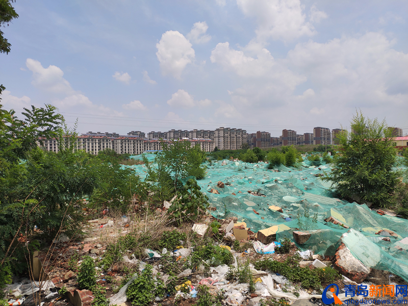 青岛足球比赛场地在哪里,青岛专业足球场最新进展