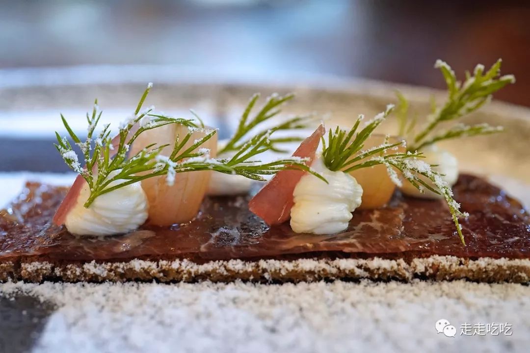 巴塞罗那官网买票攻略,巴塞罗那买车票