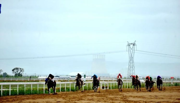 呼和浩特赛马大赛,总奖金超过15000