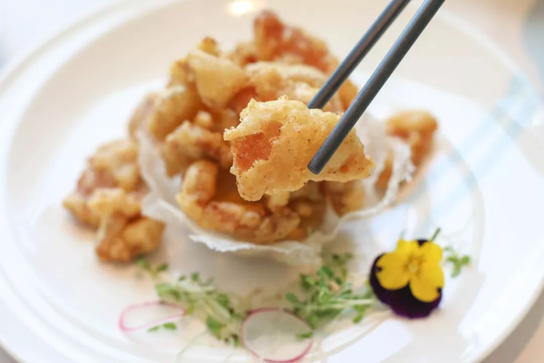 高空看厦门岛全景,厦门空中风景