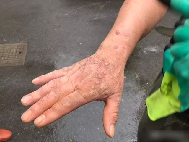 OMG|北京人在朋友圈提前练起了垃圾分类，忐忑