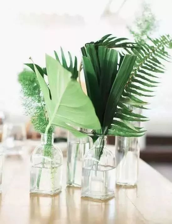 一勺洗衣粉,一勺洗衣粉让蟑螂断子绝孙