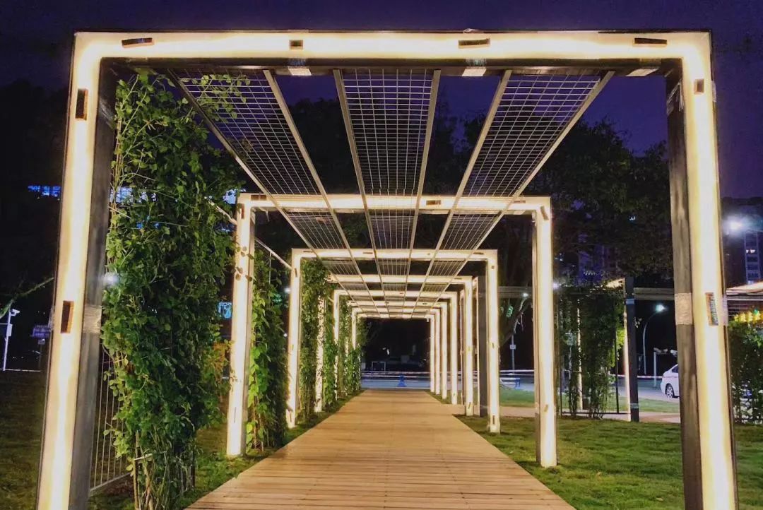 仙气荷池、时光走廊、滨湖绿道……川大持续惊艳焕颜！同学：这是仙境吗？