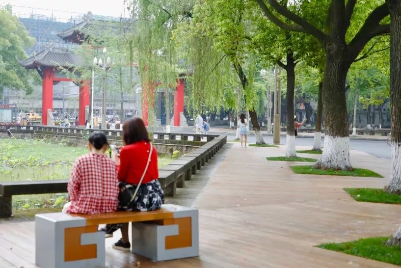 仙气荷池、时光走廊、滨湖绿道……川大持续惊艳焕颜！同学：这是仙境吗？