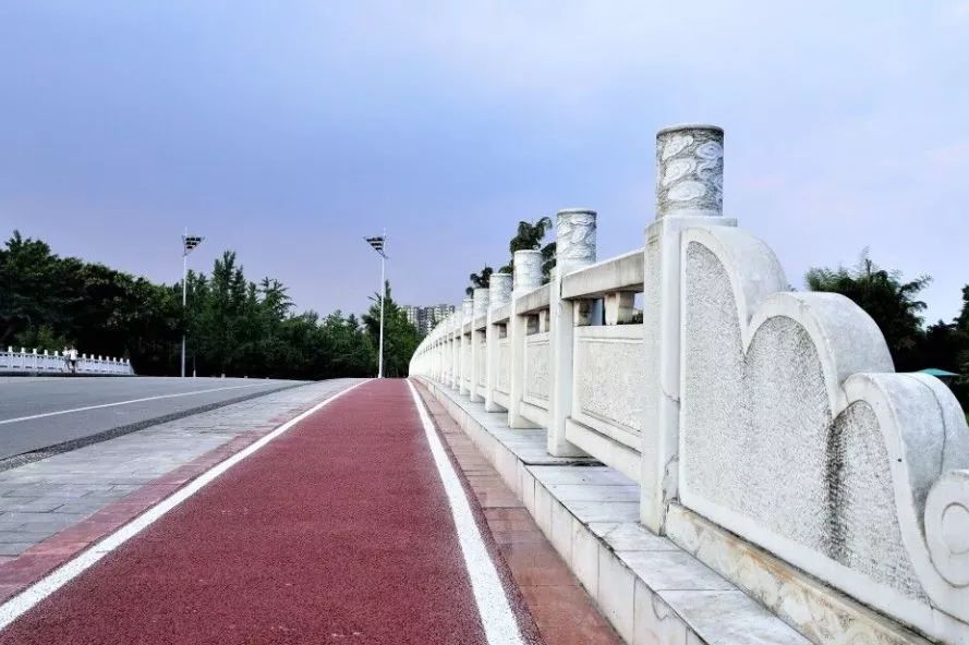 仙气荷池、时光走廊、滨湖绿道……川大持续惊艳焕颜！同学：这是仙境吗？