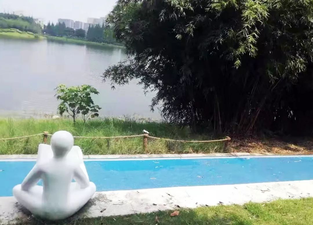 仙气荷池、时光走廊、滨湖绿道……川大持续惊艳焕颜！同学：这是仙境吗？