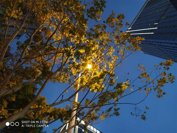 小米cc9e最新评测,小米cc9e和红米note7pro哪个好