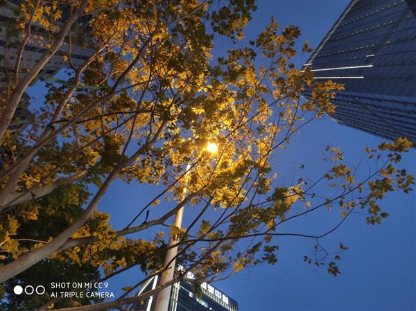 小米cc9e最新评测,小米cc9e和红米note7pro哪个好