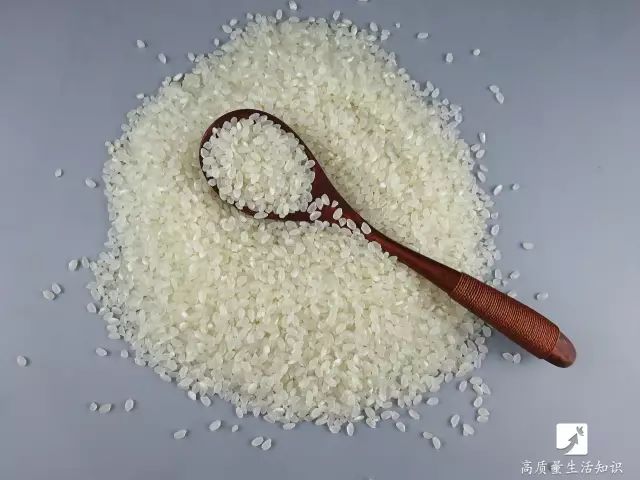 大米生虫子怎么快速驱虫妙招,大米生虫子怎么快速驱虫