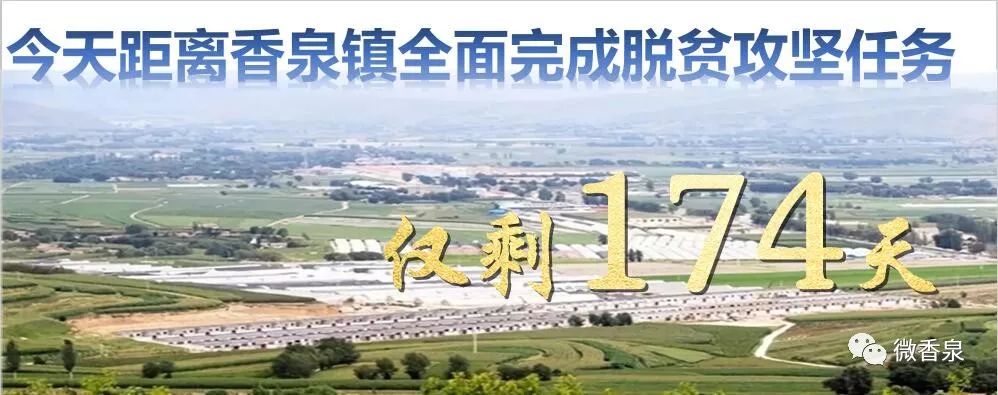 马铃薯晚疫病的主要防治方法,马铃薯晚疫病发病过程和症状