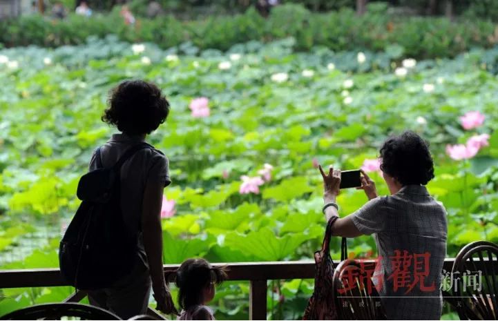 成都到底有多少个市区县,成都海昌极地海洋公园