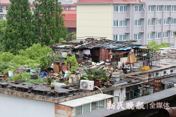 楼顶鸽棚扰民怎么解决,帮侬忙
