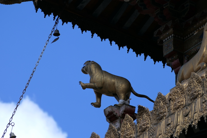 松下fz1000价格,松下fz10002gk