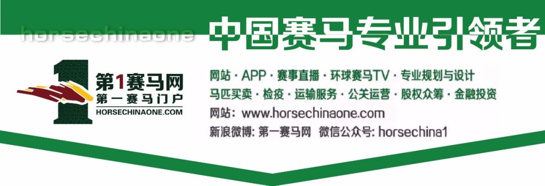香港马匹比赛最高奖金,香港马拉松完赛1万奖金
