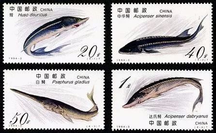 市场行情免费版,市场行情最新报价大全