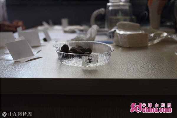 “入伏”首日张店区中医院“冬病夏治”三伏贴开贴