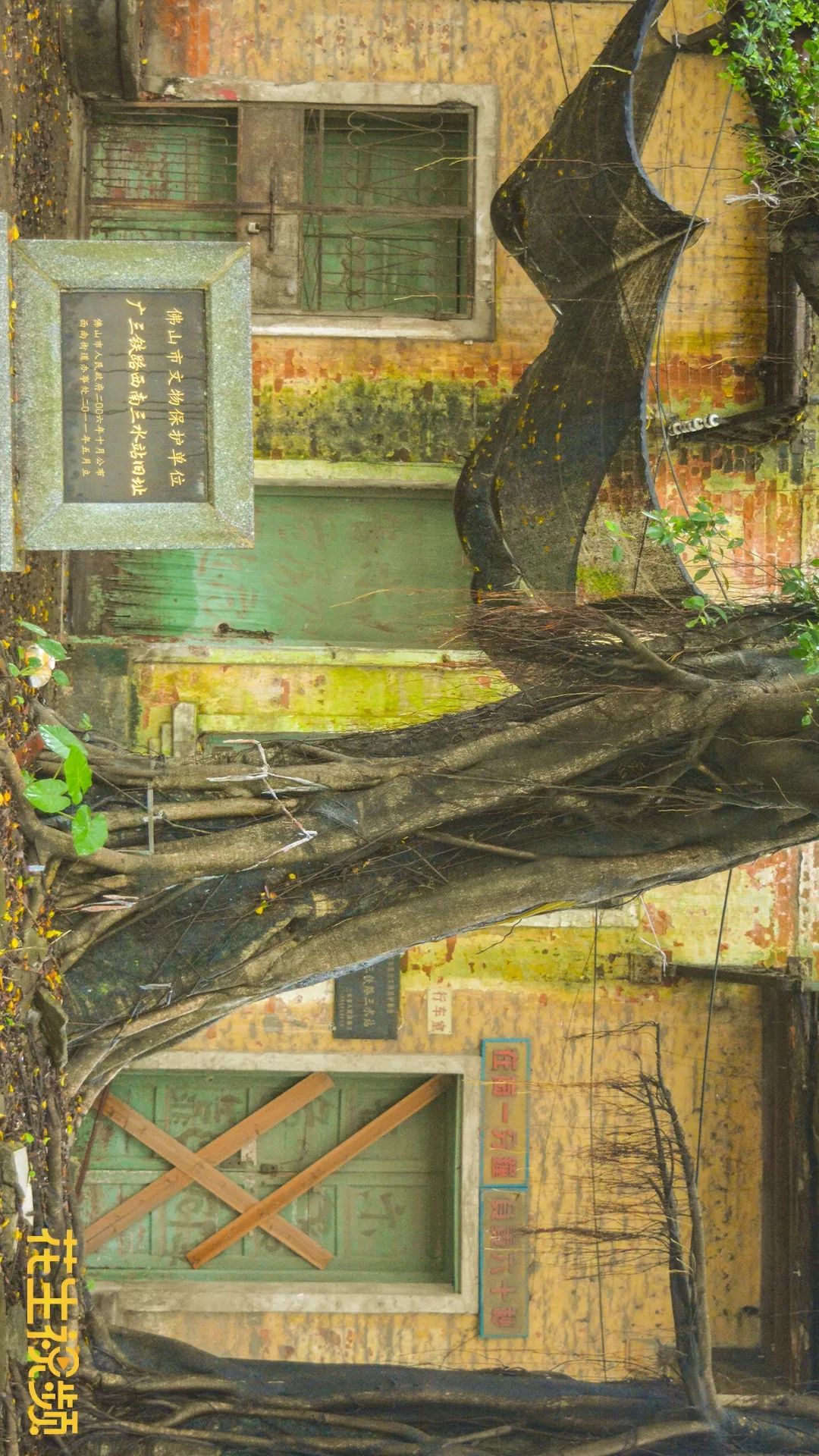 什么是佛祖等身像,什么是佛法僧