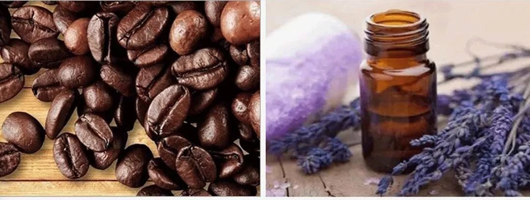 半个娱乐圈撞*裤内**？谁叫它提臀细腰又瘦腿