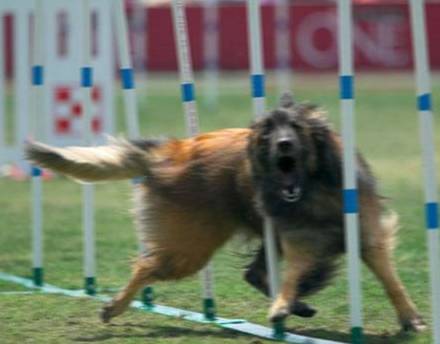 拍照模糊如何去掉,拍照模糊怎么办