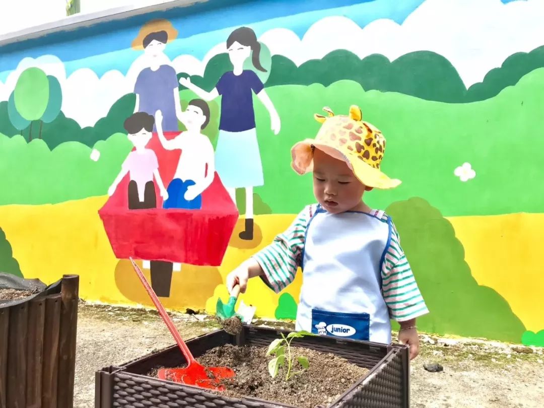 宁波柏悦暑期钜惠￥1200+起/晚，享下午茶+水果采摘+航海体验超棒亲子体验