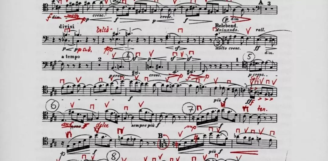 卡洛斯克莱伯指挥拉德斯基进行曲,卡洛斯克莱伯最后告别指挥