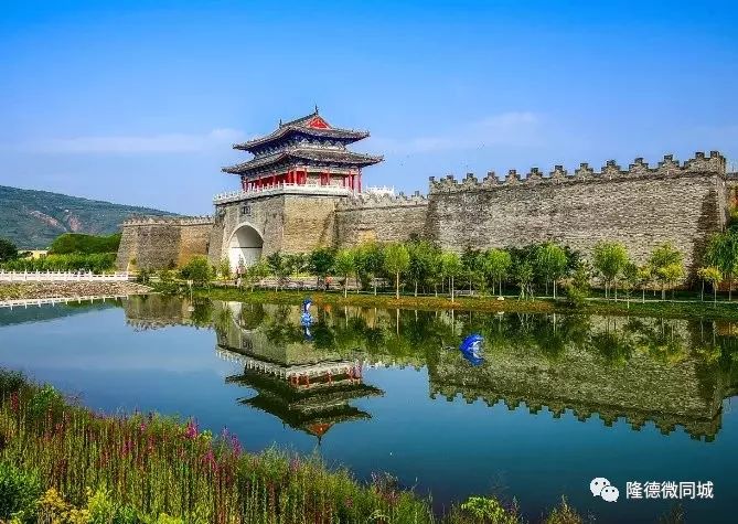 隆德电玩时代的抓“五子”“狼吃娃娃”你知道是什么吗？