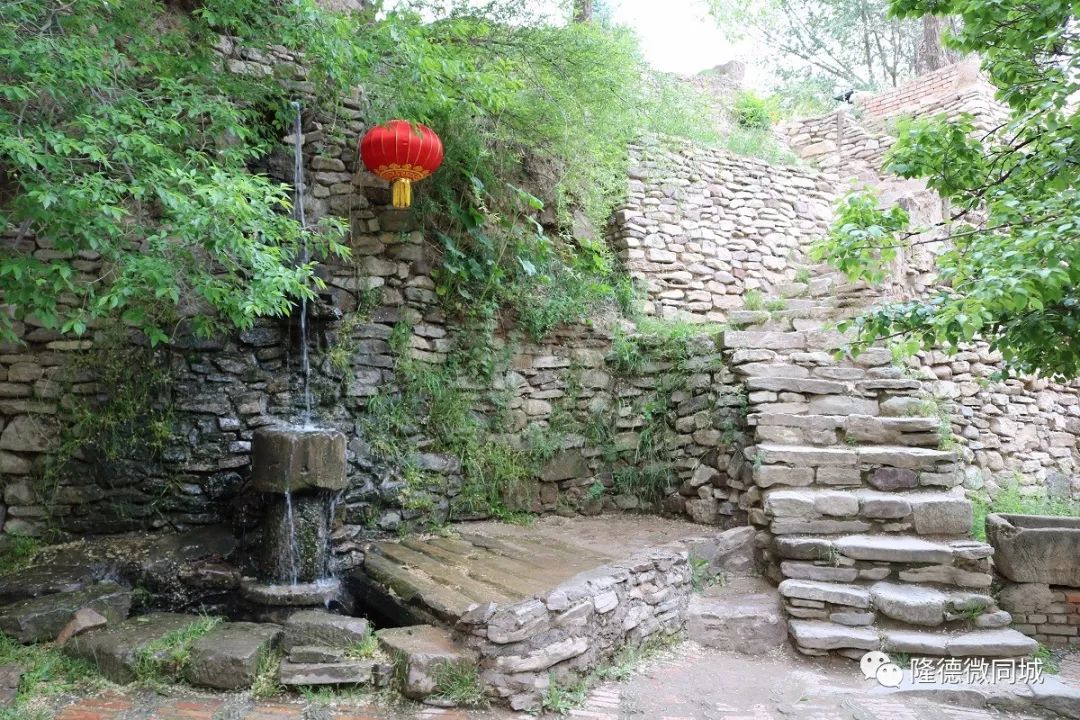 隆德电玩时代的抓“五子”“狼吃娃娃”你知道是什么吗？