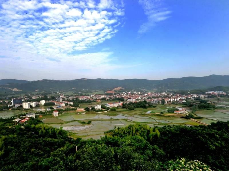 要火了！荆门这个村子拟入选这个国家级名单！