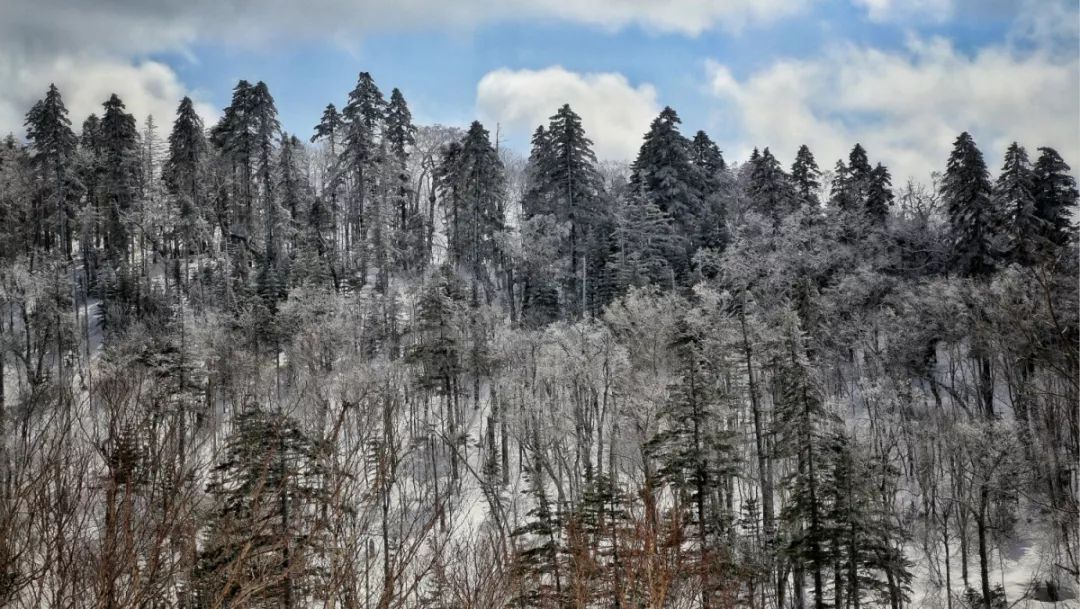 日本最后的秘境,日本最北端北海道