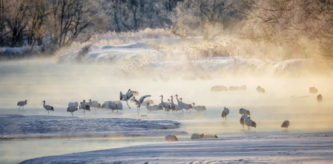 日本最后的秘境,日本最北端北海道