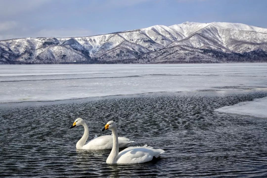 日本最后的秘境,日本最北端北海道
