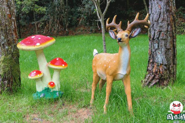 福州好玩拍照好看的地方,福州3-4月份赏花位置