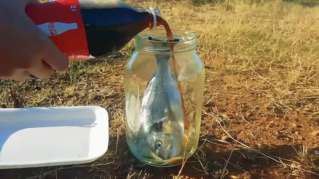 可乐腐蚀骨头辟谣,可乐骨质疏松最大谣言