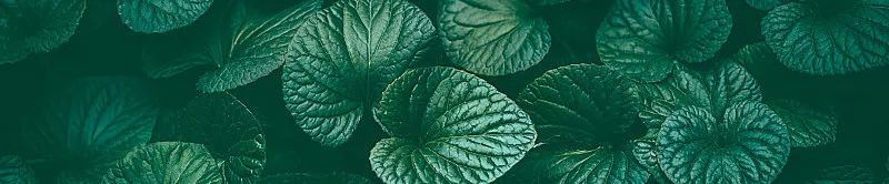 阿里和网易,阿里崩了是否存在恶意竞争