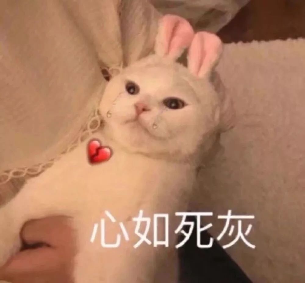 麻范儿好物|日本“吸油圣斗士”，1天1条，7天瘦出小蛮腰！酸酸甜甜，比果冻还好吃