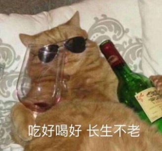 绝了绝了！这锅子是怎么回事？为毛煮啥都特别好吃