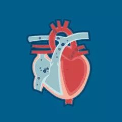 6分钟走路测心功能,走路测试心脏功能