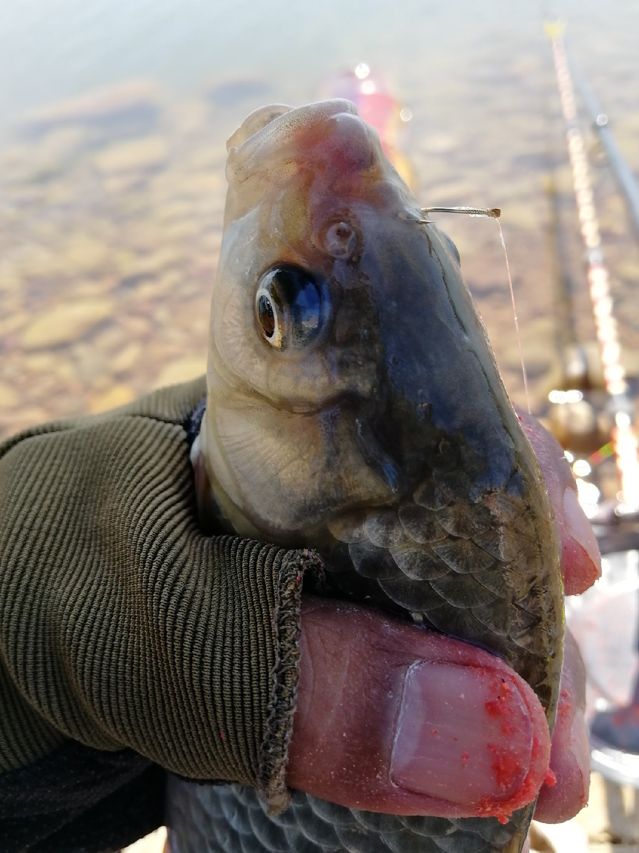 矶竿滑漂新玩法,矶钓滑漂完怎么收竿