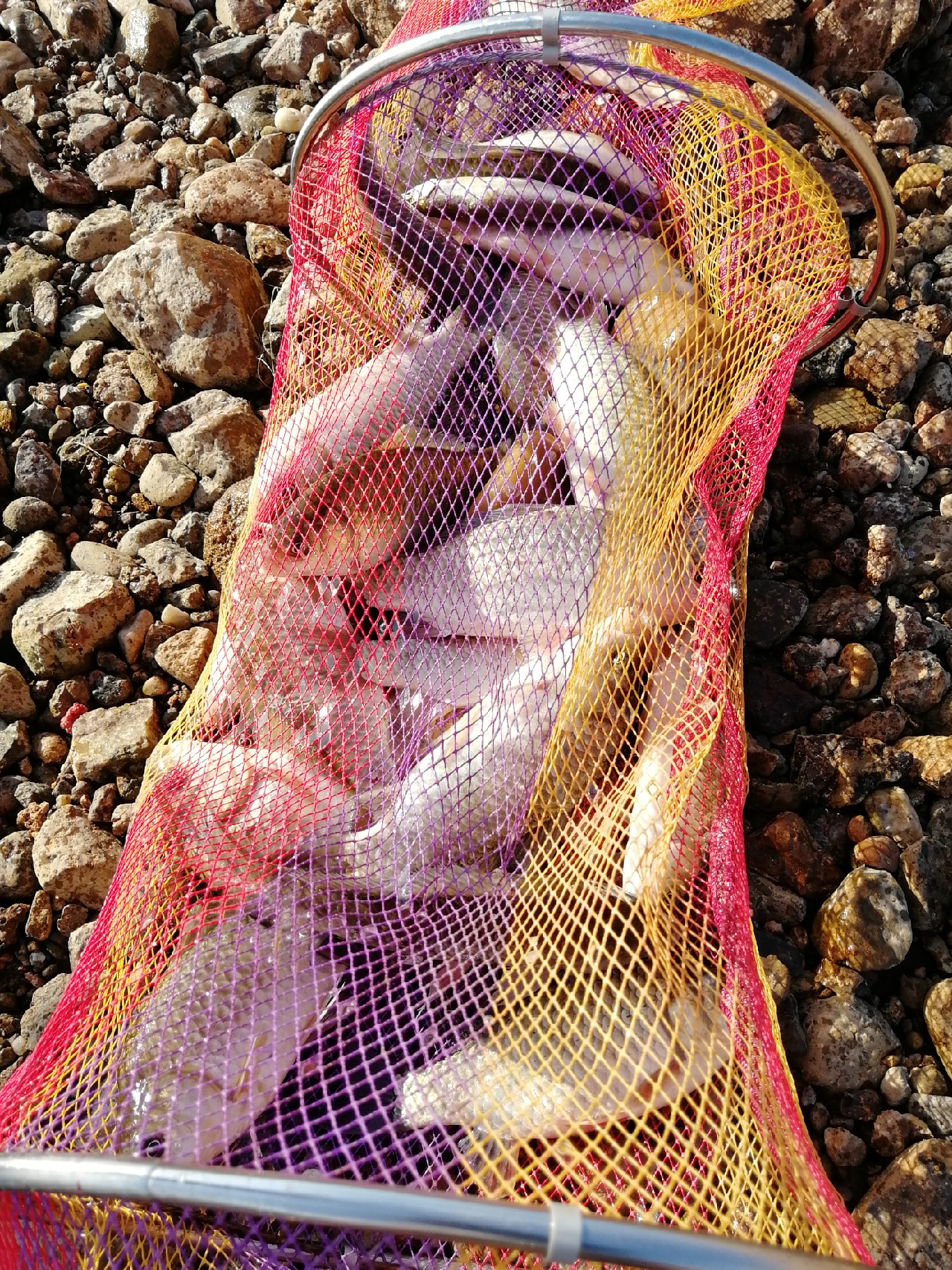 矶竿滑漂新玩法,矶钓滑漂完怎么收竿