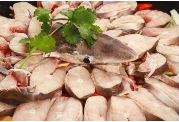 饕餮在中国文化中的地位,饕餮中国英文版电影