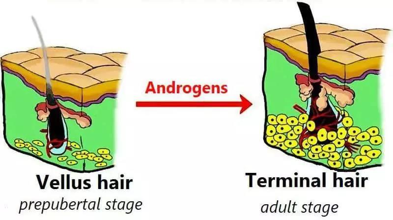 4岁孩子长小胡须,4岁小男孩长小胡须